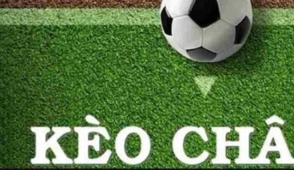 Cách đọc kèo bóng đá chuẩn xác cho người mới nhập môn