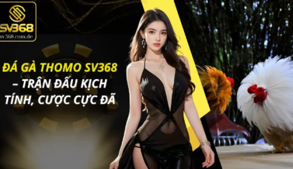 Đá gà Thomo SV368 – Sân đấu đỉnh cao, nơi kịch tính bùng nổ từng giây