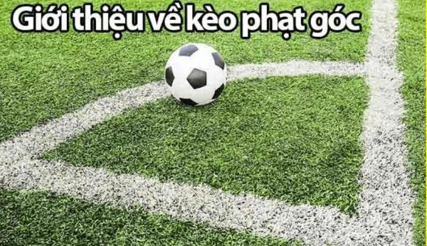 Kèo phạt góc 789Win – Tìm hiểu chi tiết các loại cược và kinh nghiệm theo dõi hiệu quả