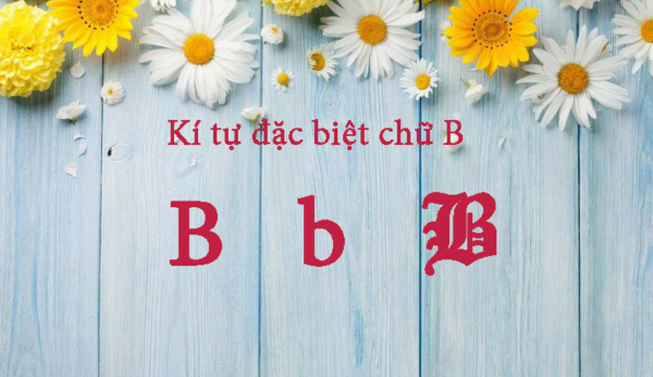 Bộ kí tự đặc biệt chữ B viết thường, in hoa, ngược, cách điệu đầy ấn tượng