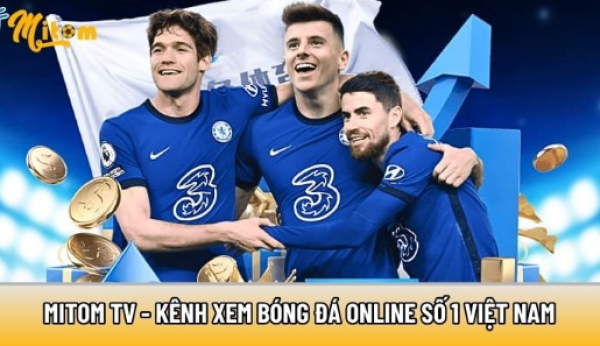 Mitomtvttbd.net - Kênh xem bóng đá online số 1 Việt Nam