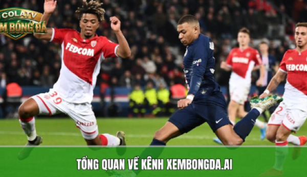 Xembongda.ai: Địa chỉ xem bóng đá online với video cực mượt 